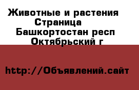  Животные и растения - Страница 24 . Башкортостан респ.,Октябрьский г.